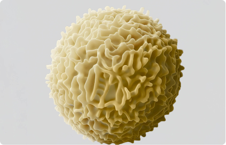 PPQ批次完成+1，采用自主培养基