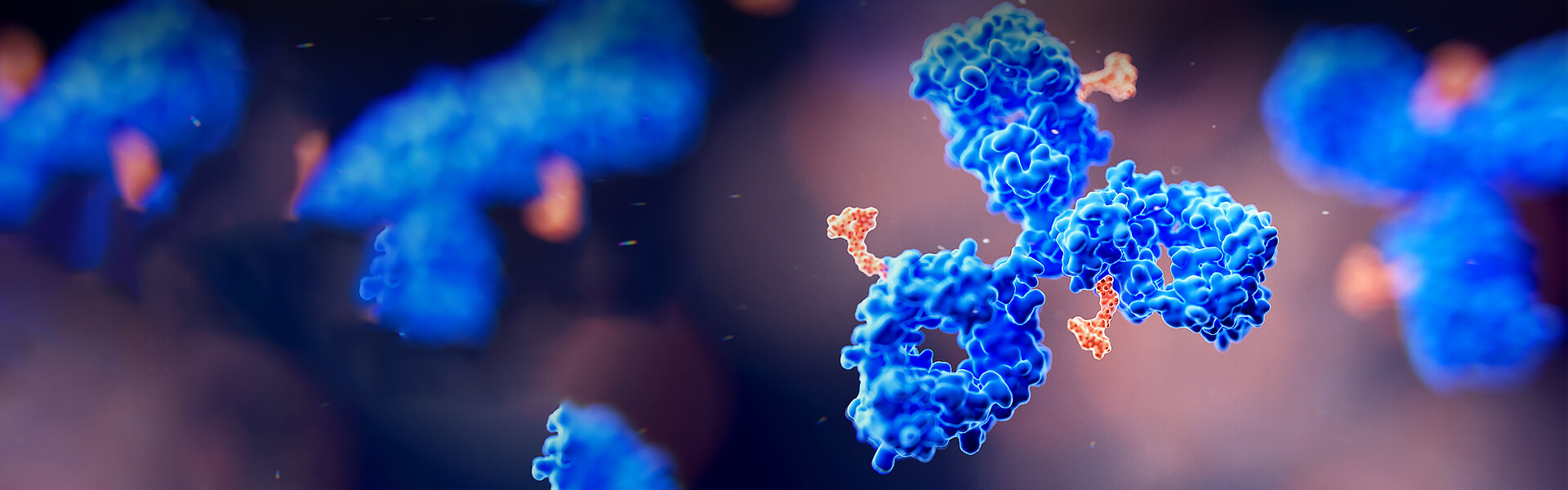 生物偶联工艺开发